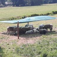 Schaduwnetten / schaduwdoeken voor uw paarden en ponies