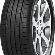 Minerva F209 TL Banden 205/55 R16 91H