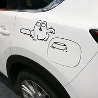 Kat Catnip Toys en Gadgets