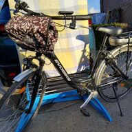 Elektrische dames fiets
