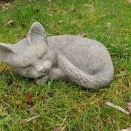 Tuinbeeld van een kleine poes
