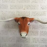 Longhorn , stier , stierenkop