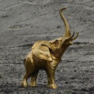 Olifant, interieur