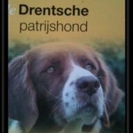 De Drentsche patrijshond