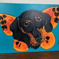 Teckel kunst
