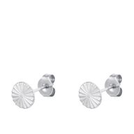 Studs oorknopjes Cirkel stainless Steel zilver