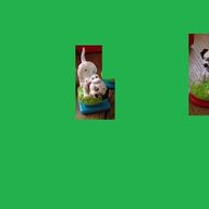 Stempelfiguur 101 Dalmatiers x 2 van Disney-Dorda Toys
