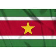 Vlag Suriname 1x1.5 mtr.