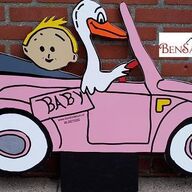 Baby ooievaar meisje auto bord in de tuin bensan enter