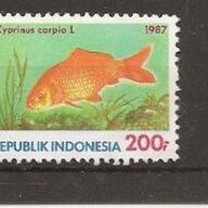 Vissen uit Indonesie