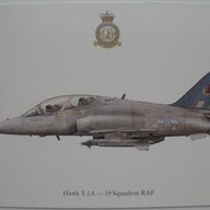 Vliegtuig - Hawk T.1A - 19 Squadron RAF
