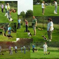 Puppy cursus in Amersfoort