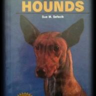 Pharaoh hounds, Sue M.Sefscik