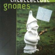 Intellectual gnomes, Rik Delrue