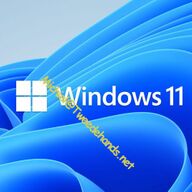 Windows 11 Home &amp;amp; Pro geschikt voor alle systemen!