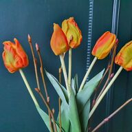 Kunst tulpen