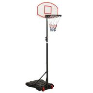 VidaXL Basketbalstandaard 216-250 cm polyetheen wit