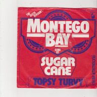 Single Sugar Cane - Montego bay