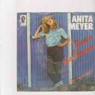 Single Anita Meyer - Just a disillusion